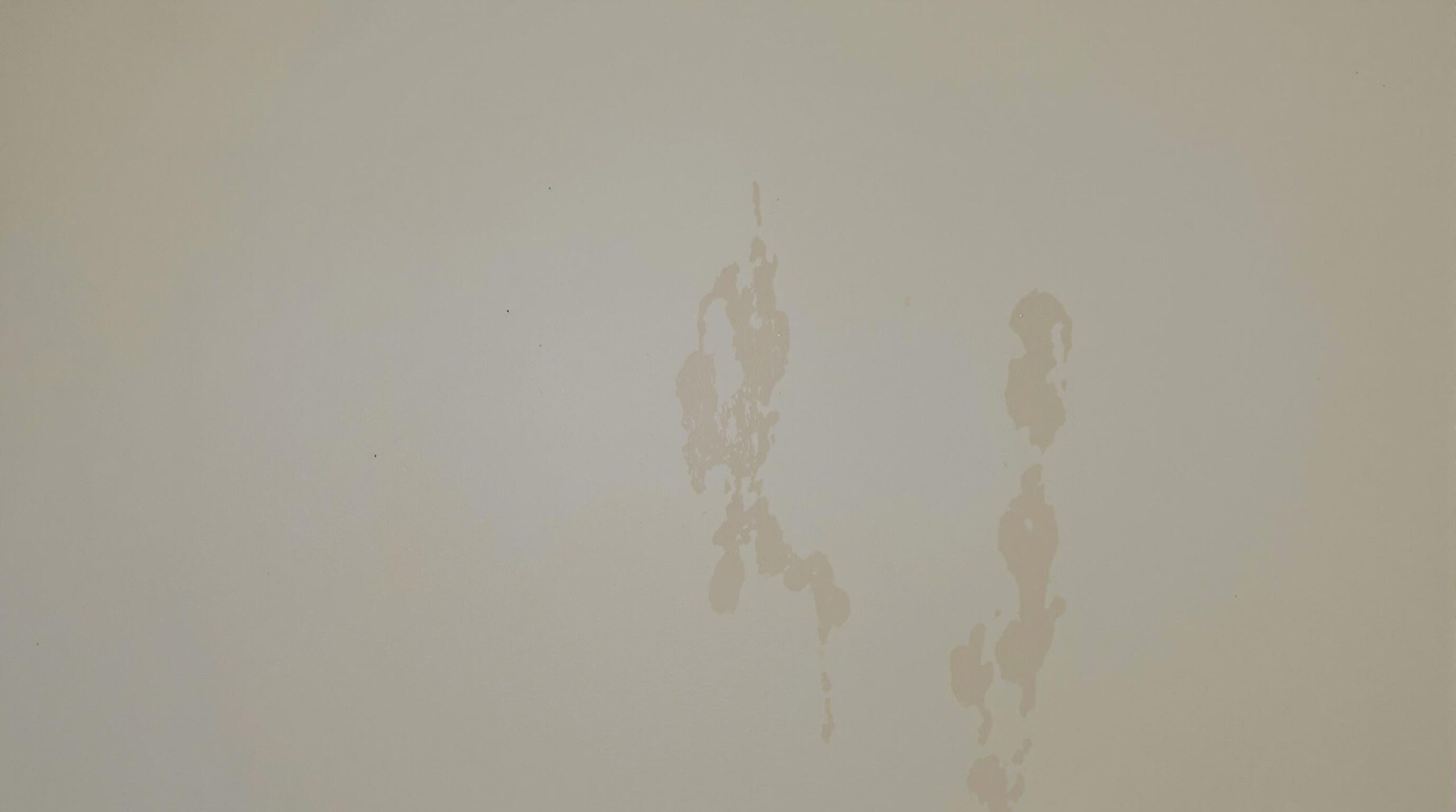 Wall with subtle water stains indicating underlying moisture issues and potential damage, highlighting the importance of early detection and prevention of water damage in homes.