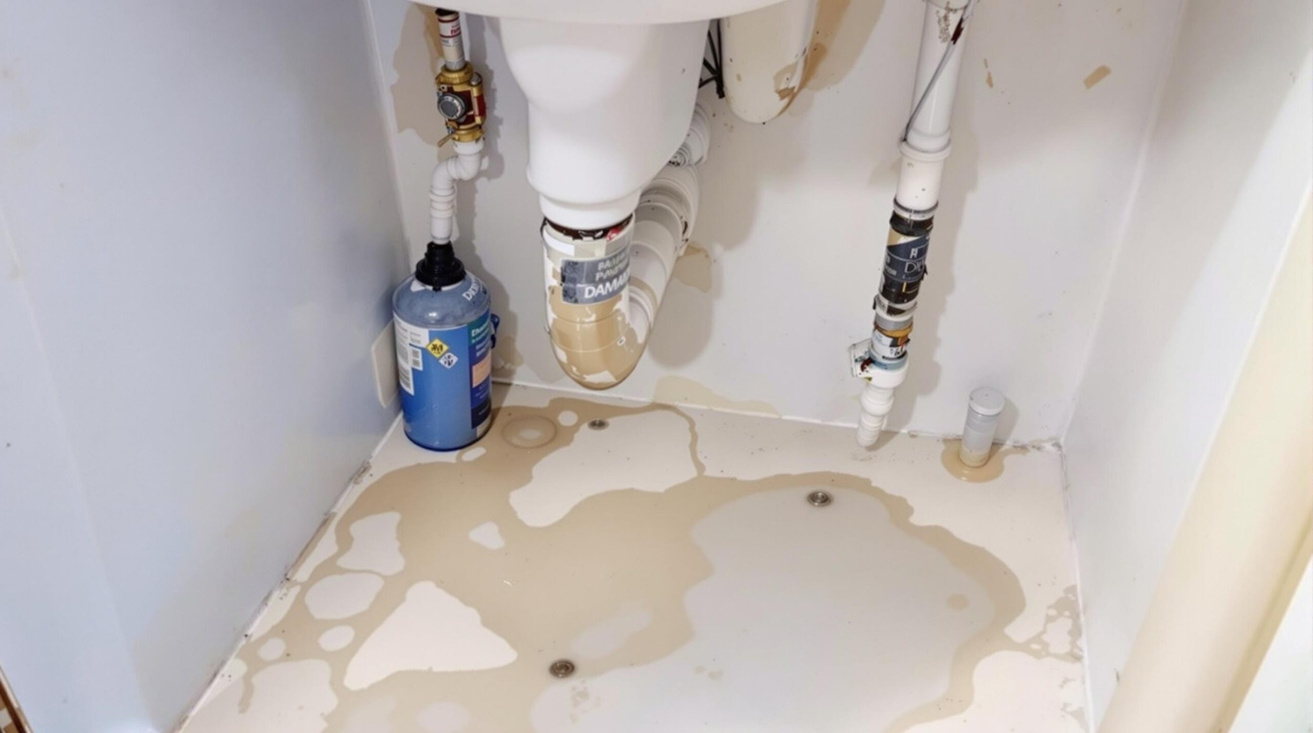 Featured image for “How to Handle a Burst Pipe in Your Blackbird, DE Home”